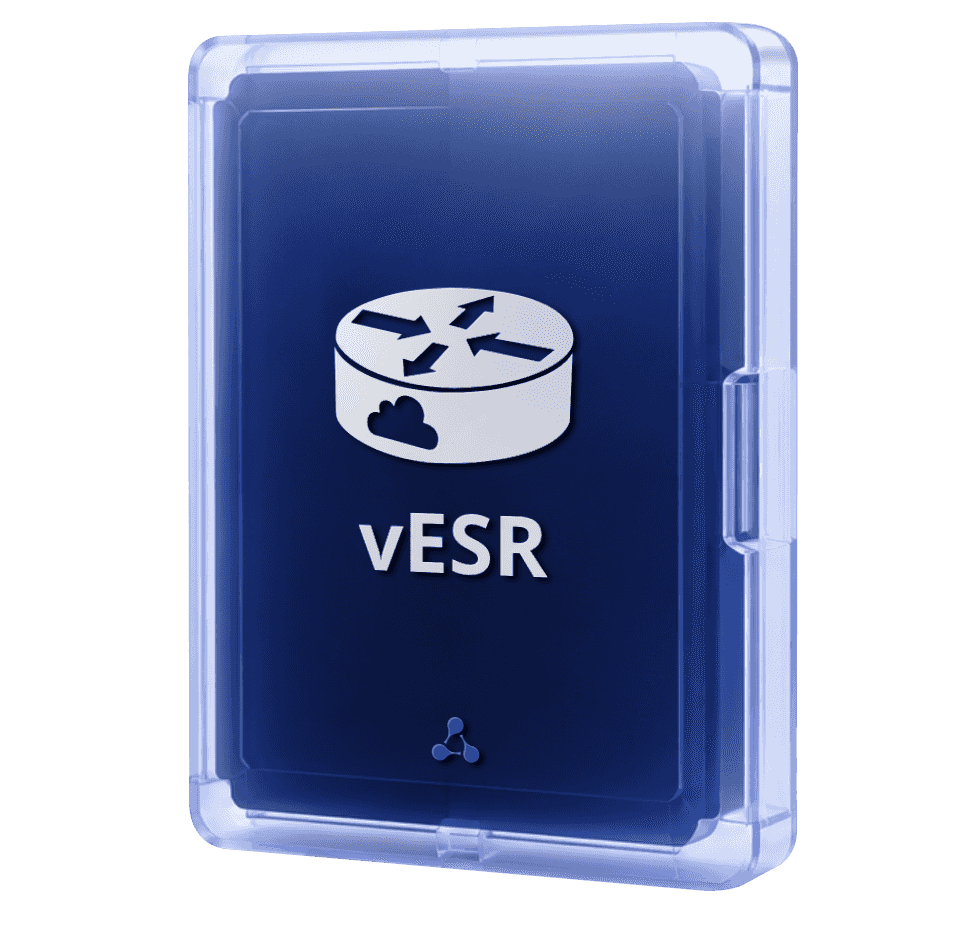 Виртуальный сервисный маршрутизатор vESR