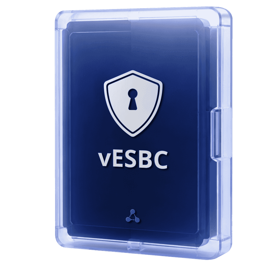 Программный пограничный контроллер сессий vESBC