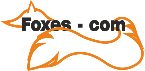 Партнер: Foxes - Com